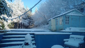 Een besneeuwde buitenruimte met trappen die leiden naar een blauw gebouw, een kleine boom en een bank.