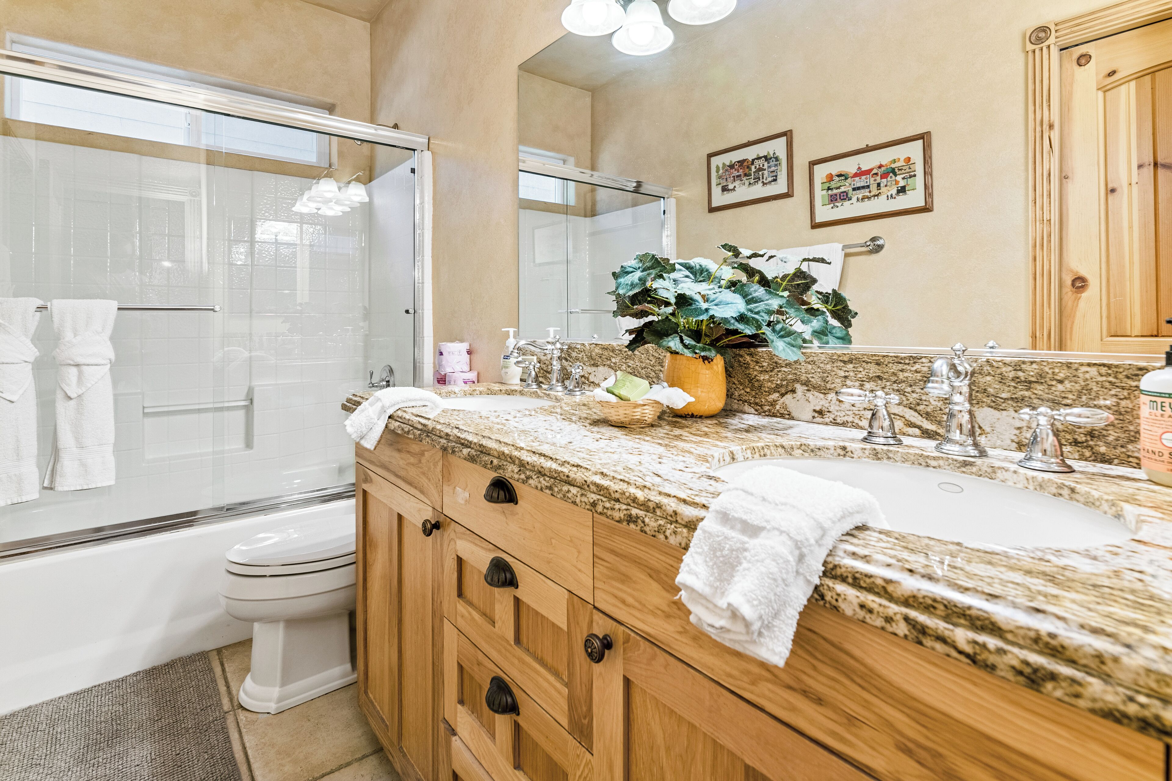 Hus, terrasse, fjellutsikt | Bad