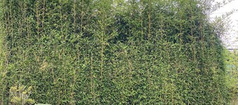 Cozy suite in Angelopolis (pet friendly) 3 min from the Star of Puebla