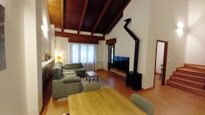 Smart TV, caminetto, libri