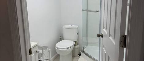 A small, white bathroom with a toilet, a glass shower enclosure, and a white door.
