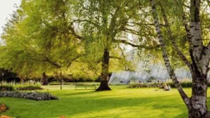 Een park met bomen, een bankje en een bloembed.