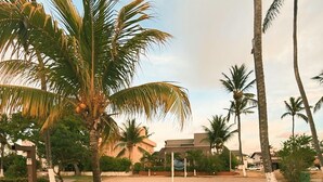 A landscaped area with palm trees, a grassy lawn, and a paved walkway. - Cozy beach house in Porto de Galinhas, pet friendly. (Porto de Galinhas Ipojuca)