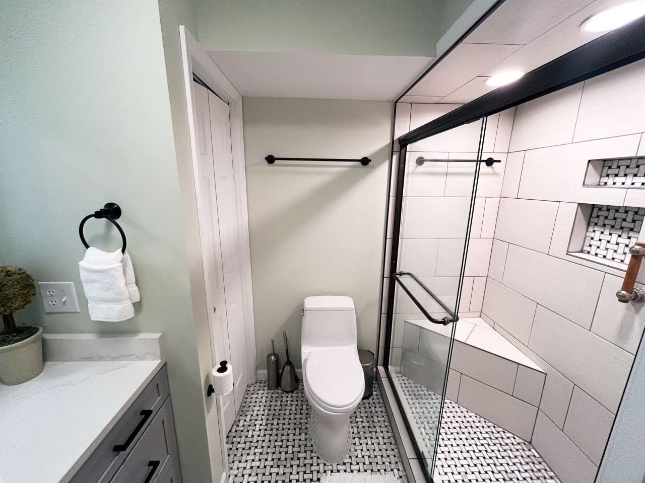 Un baño con inodoro, ducha con puertas de vidrio, toallero y una pequeña planta en maceta.