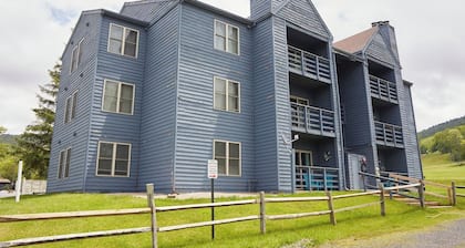 Experience ‘Mountain Charm’ | Vaulted Ceilings, Fireplace & Walk-to-Slopes Access in Canaan Valley