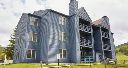 Experience âMountain Charmâ | Vaulted Ceilings, Fireplace & Walk-to-Slopes Access in Canaan Valley