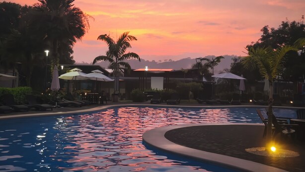 A pool with a curved edge, surrounded by palm trees and lounge chairs.