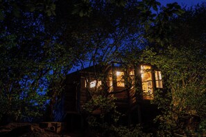 A rustic cabin surrounded by dense foliage at night. - Treehouse Cabin Wilderness Escape (Abergele)