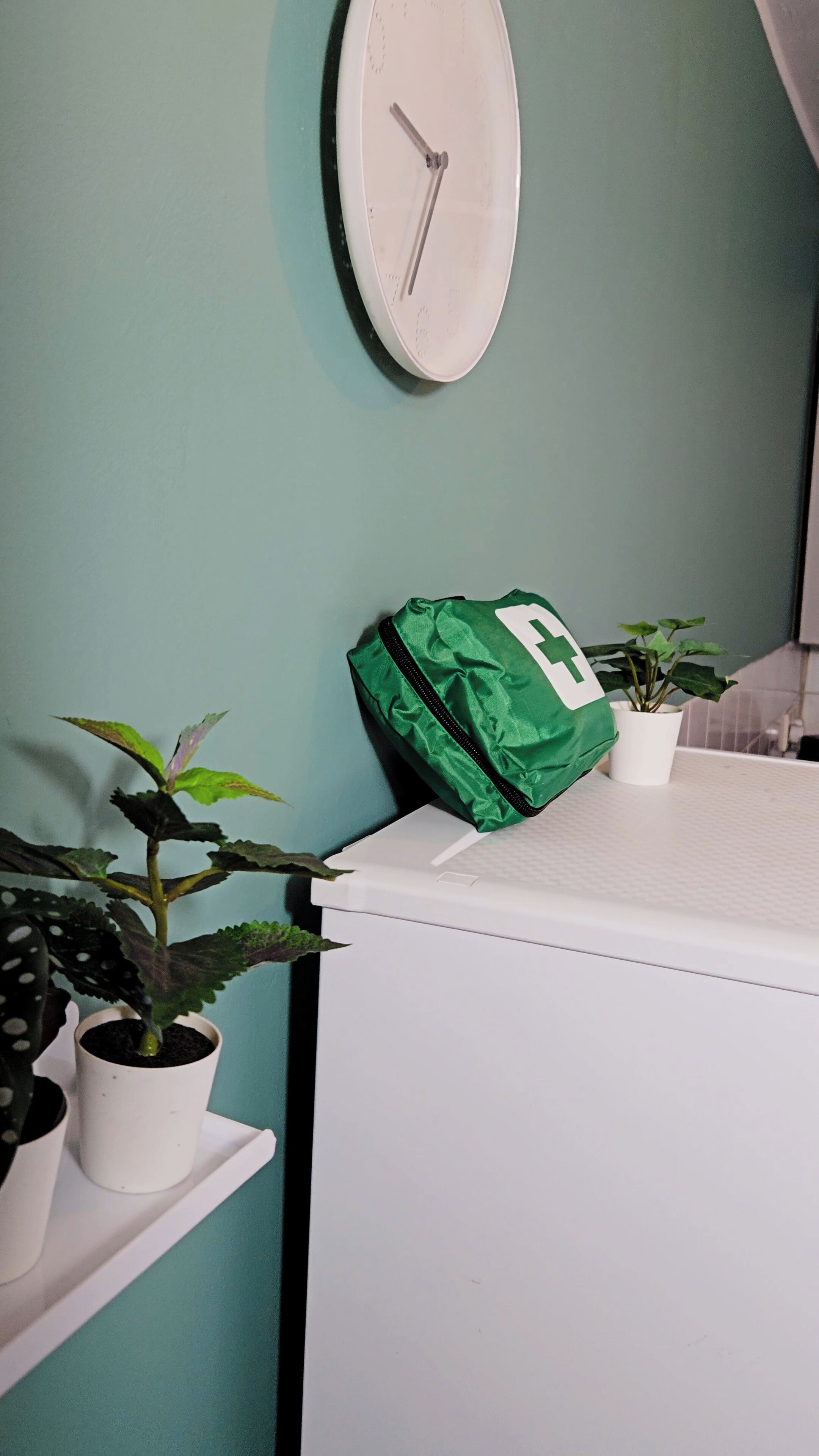 Une pièce avec une horloge au mur, un sac vert posé sur une étagère et deux plantes en pot.