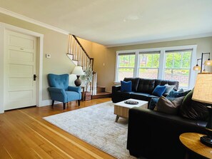 Smart TV, fireplace, books