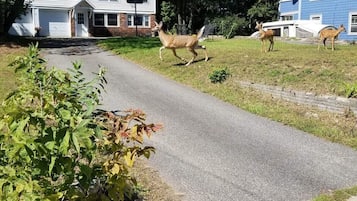 House, Private Bathroom, Mountain View | Exterior