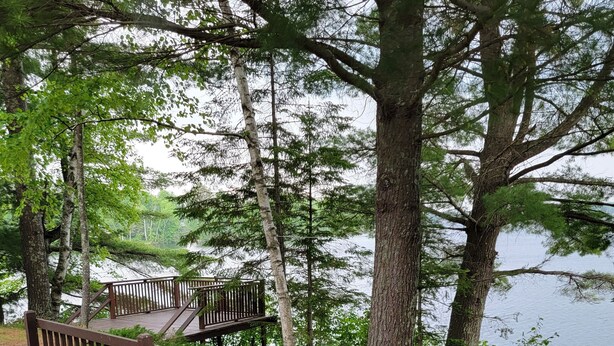 Terrace/patio - Charming 2-bedroom  lakefront cabin in delightful Phillip,WI (Phillips)