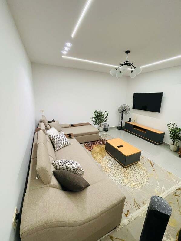 Smart TV, fireplace, books