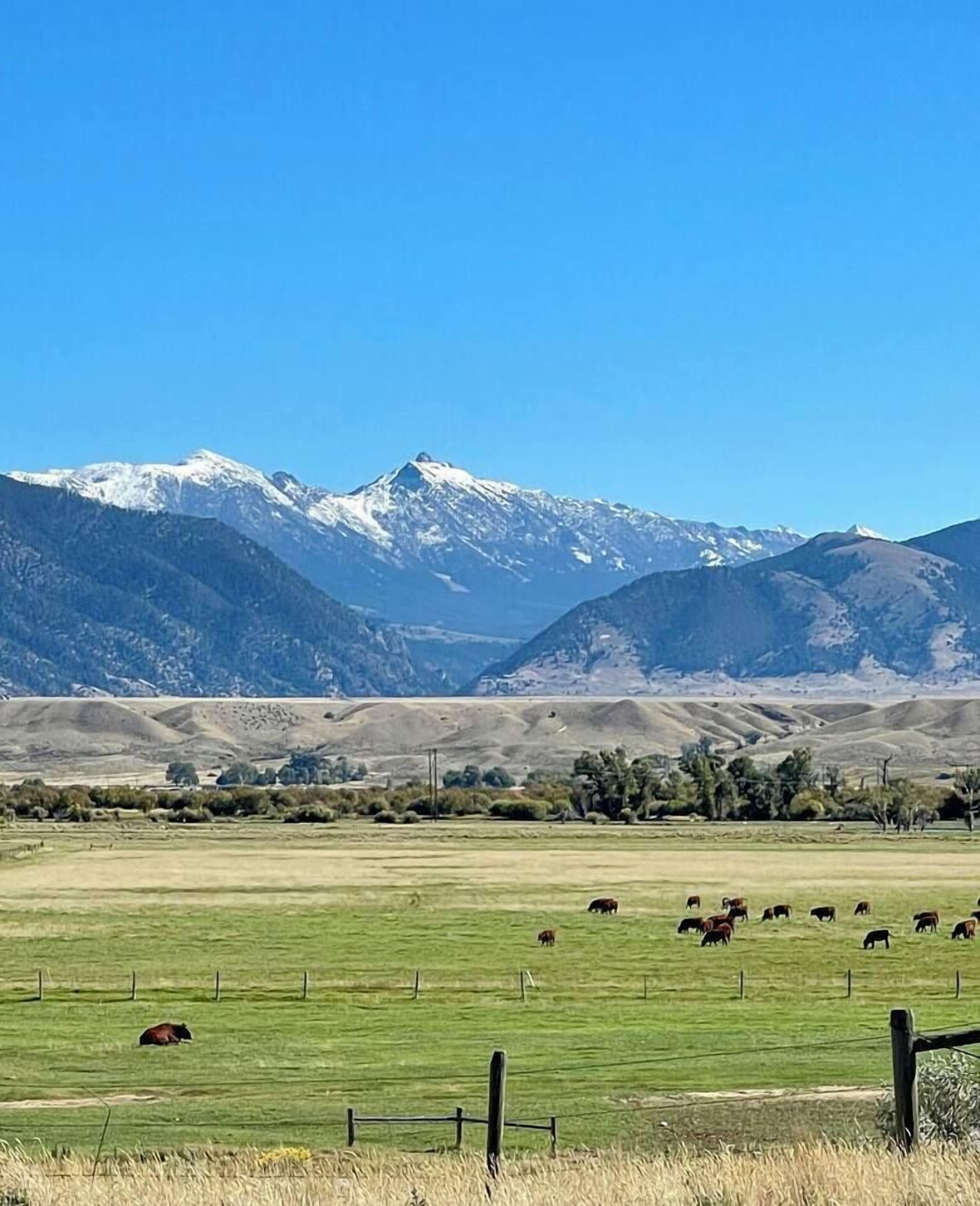 The Madison Mountain Range