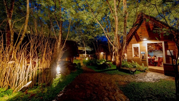 Une cabane en bois avec une cuisine ouverte, entourée d’arbres denses et accessible par un sentier.