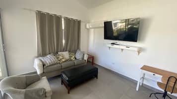 Smart TV, books