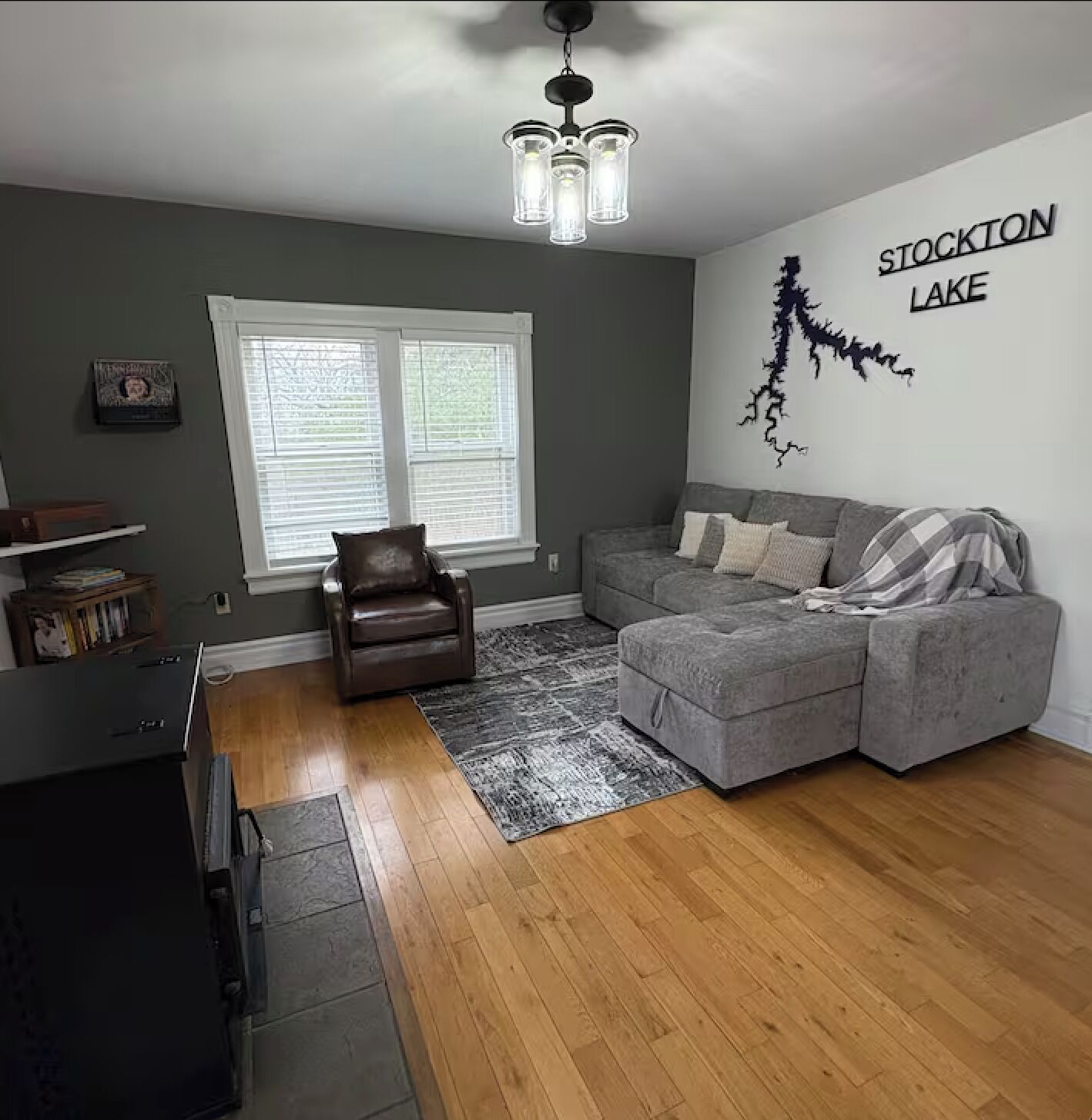 Smart TV, fireplace, books, music library