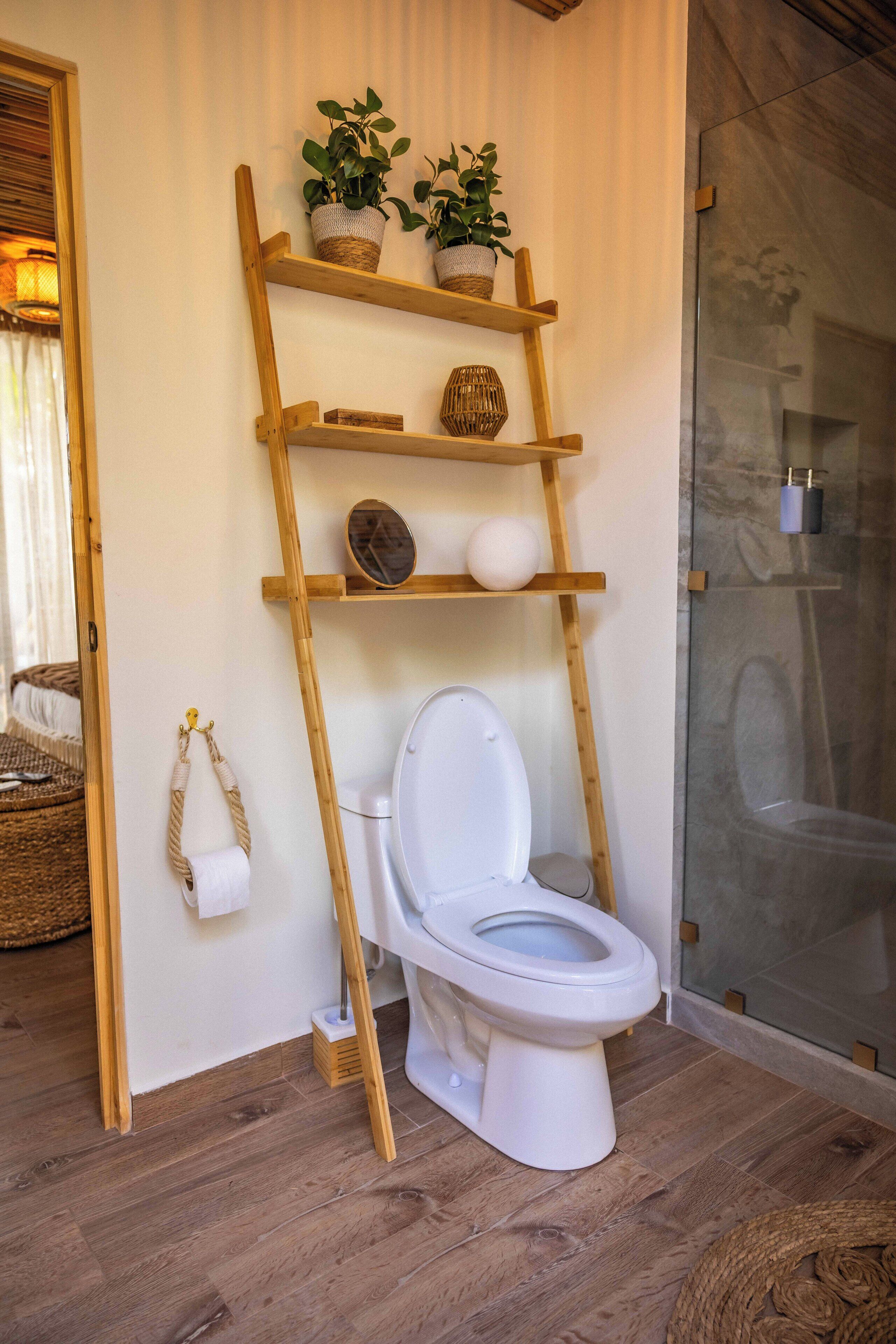 Un baño con un estante escalonado de madera que sostiene plantas en macetas, un inodoro y un box de ducha de vidrio.