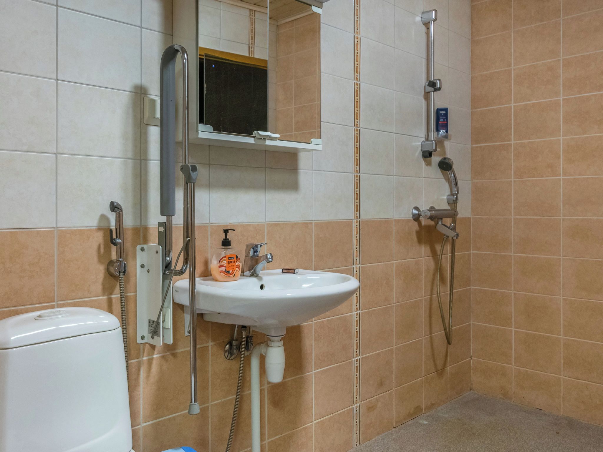 Kylpyhuone, jossa on valkoinen pesuallas, käsisuihku ja wc-istuin.