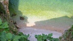 Ein freier Blick auf einen Strand mit felsigem Ufer und klarem Wasser.