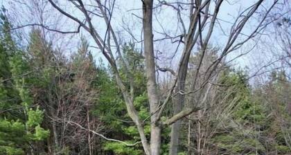 Whole house peaceful country setting 2bdrm 1.5bath