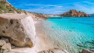 Lettini da mare