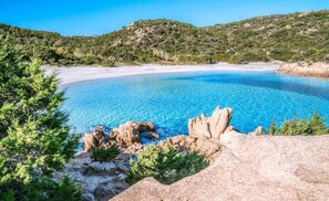 Sun-loungers - Luxury Penthouse in the historic center of Olbia (Olbia)