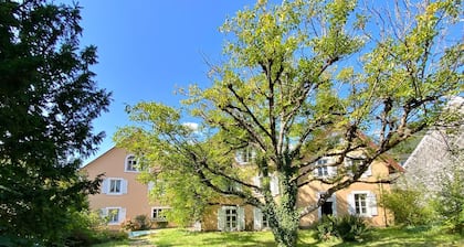 Spacious villa with 6 bedrooms: Hiking, skiing, Alsace wine route
