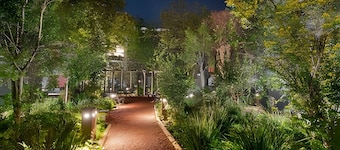 AS - Origen Focus 01