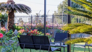 Un jardín con un banco, sillas y una palmera.