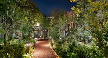 AS - Origen Focus 02