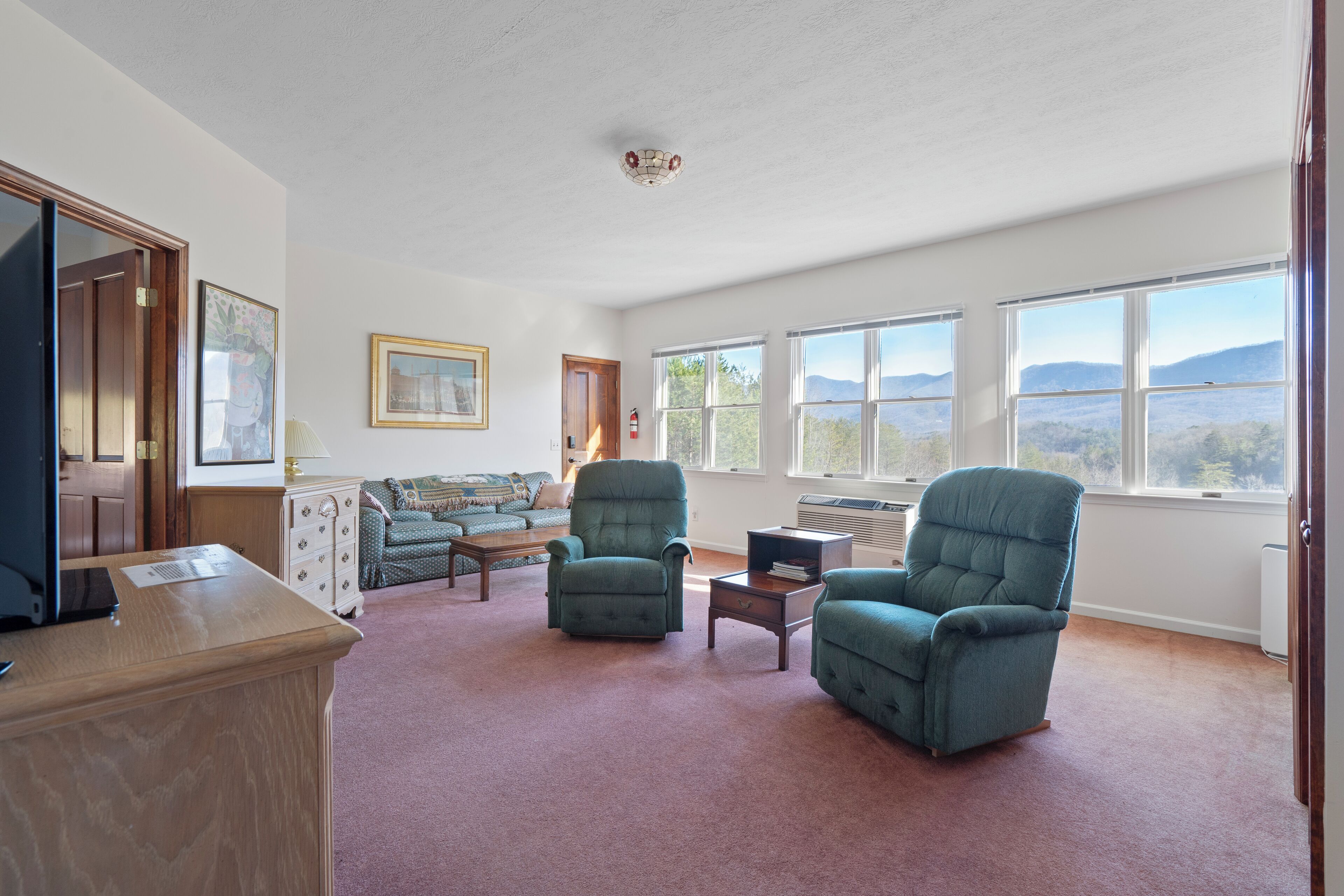 Smart TV, fireplace, books