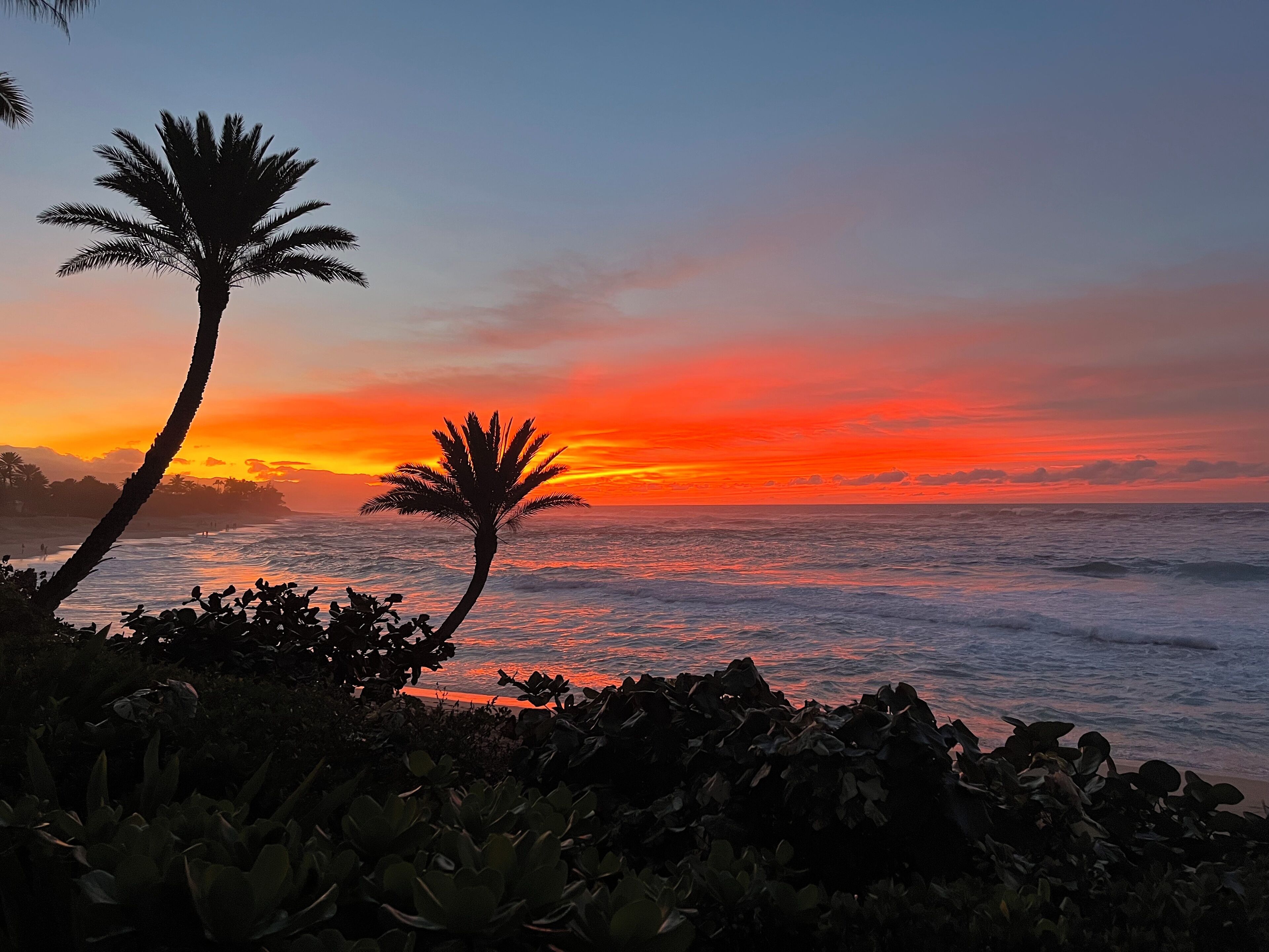 On the beach, sun loungers, beach towels