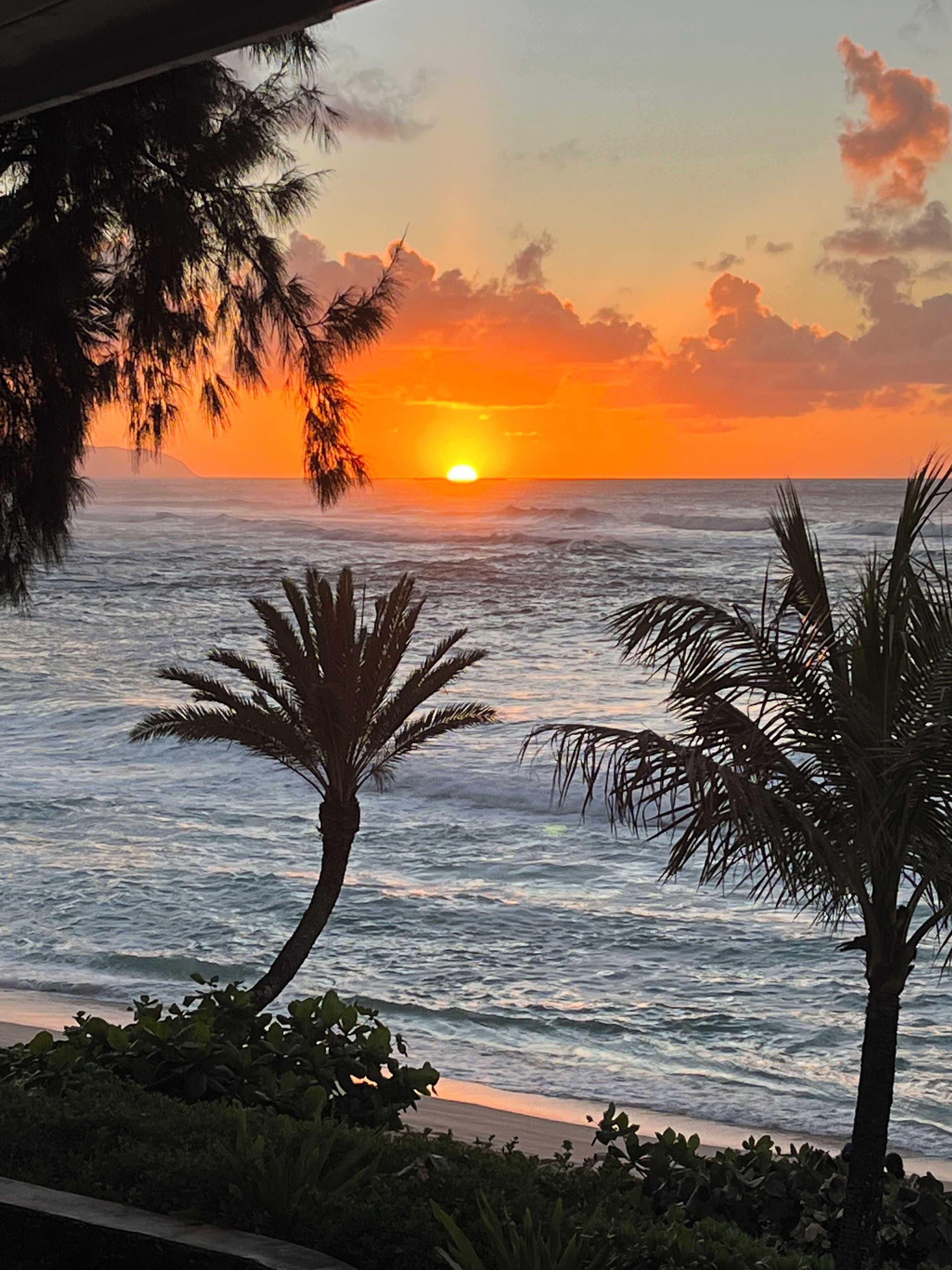 On the beach, sun loungers, beach towels