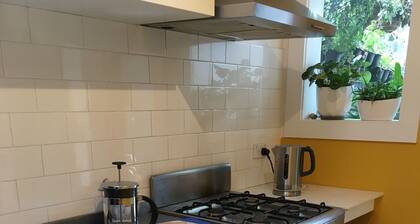 Modern terrace home in inner Sydney