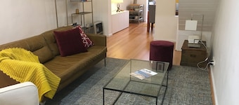 Modern terrace home in inner Sydney