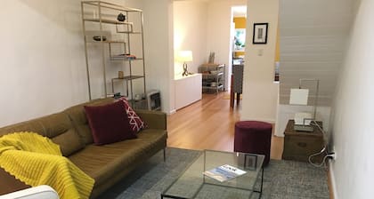 Modern terrace home in inner Sydney