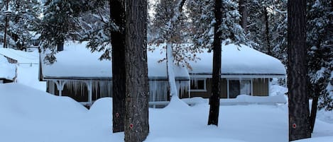 Signature Cabin, 3 Bedrooms, Fireplace | View from room