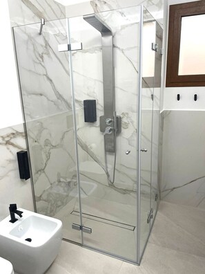 Shower, hair dryer, bidet, towels