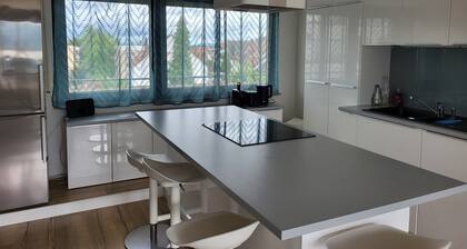 Studio Nähe Flughafen-Messe Stuttgart