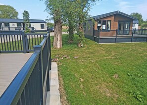 Unclassified image, 4 of 12, button