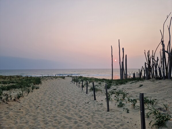 Strand