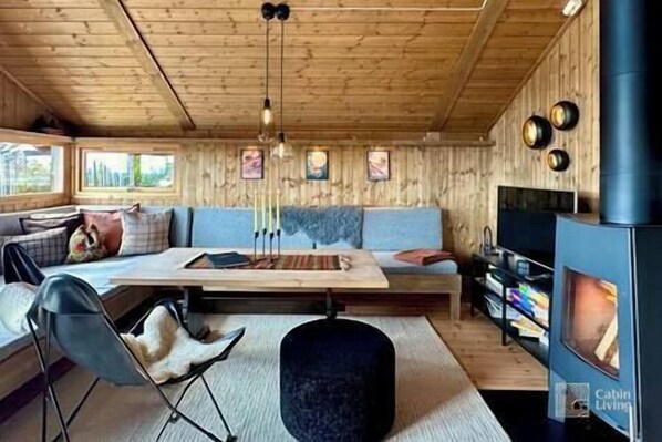 Smart TV, fireplace, books