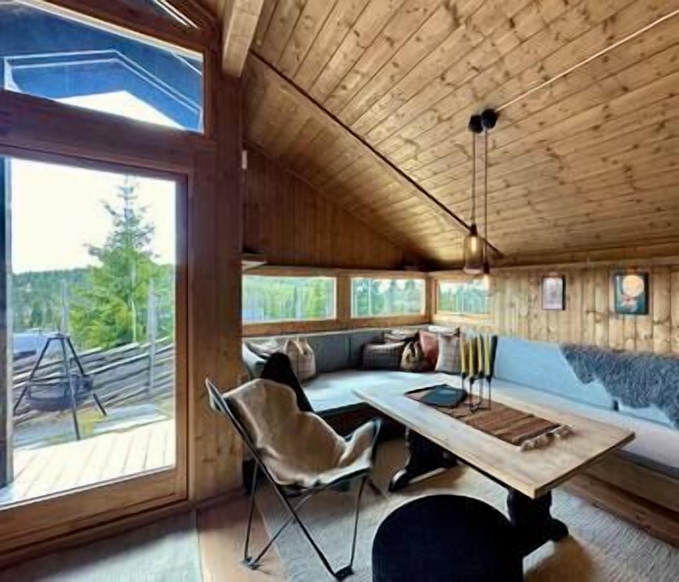 TV connectée, cheminée, livres