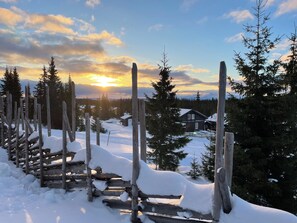 المنطقة المحيطة بالمنشأة