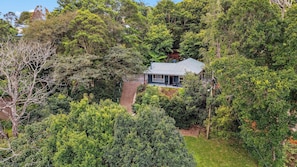 A house surrounded by dense forest, with a visible staircase leading to the entrance.