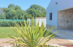 Un jardín con una planta de agave grande en primer plano, un edificio blanco de fachada de piedra y un cielo azul despejado.