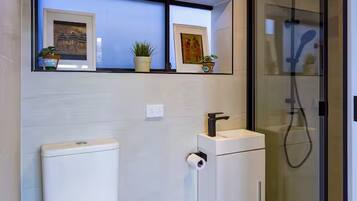 Shower, hair dryer, bidet, towels