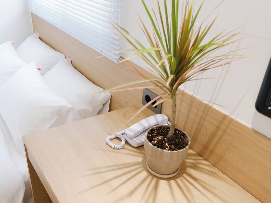 Kamar