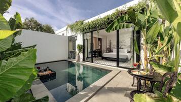 Presidential Double Room, 1 King Bed, Private Pool, Mountain View | View from room